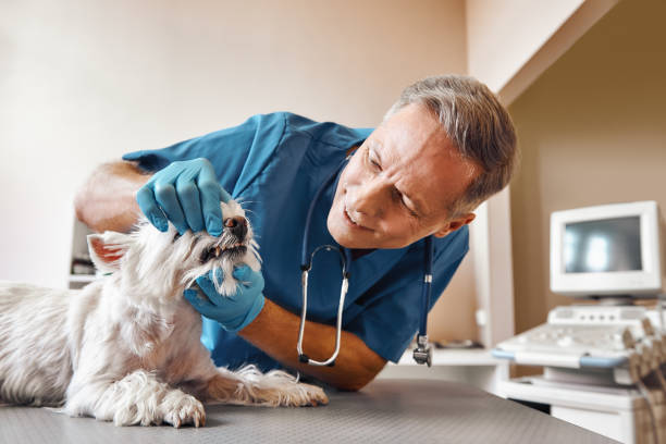Best Emergency Tooth Extraction in Hiawatha, KS